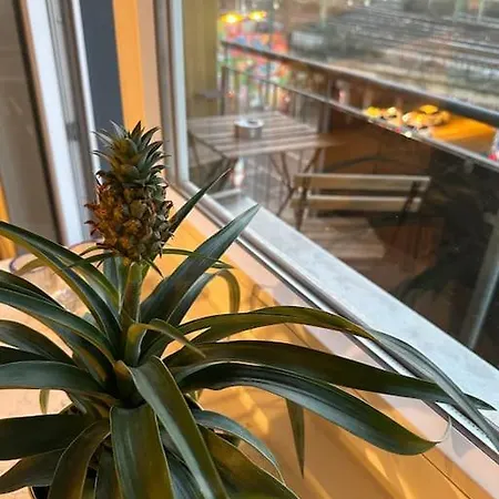 Apartment Mit Wohnkuche & Balkon *